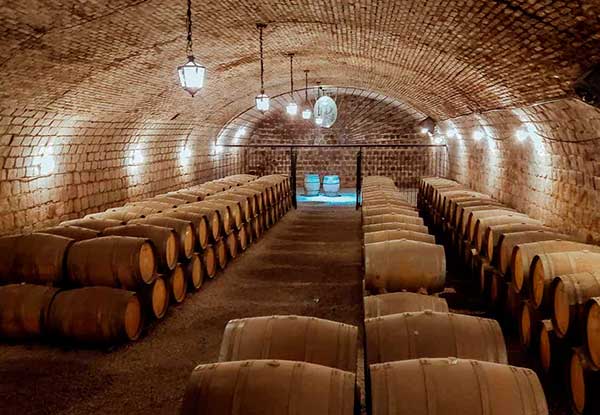 Maipo Valley Wine Tours