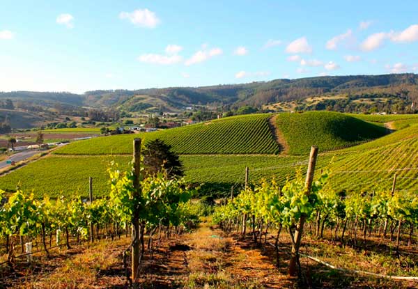 San Antonio Valley Wine Tours