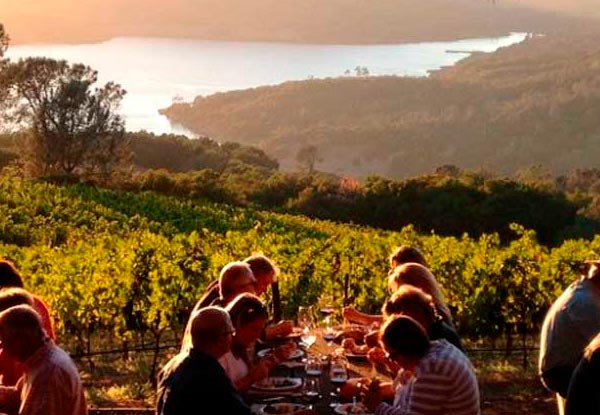 Bespoke Wine & Food Travel Experiences